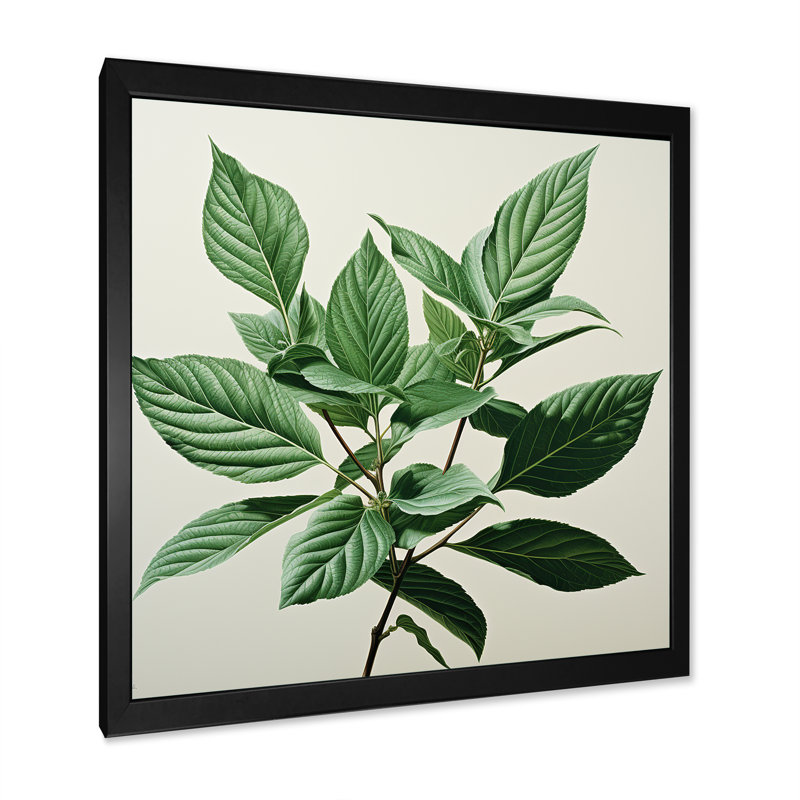 Menthe fraîche, feuilles de minimalisme sérénité II, Cadre simple noir, H 24 po x l 24 po x P 1 po