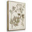 Journal botanique sépia I 3 pièces-91891418-91891423