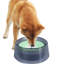 Pet Bowl-98664301