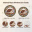 Vitrail Hedgehog Autumn-1995130287