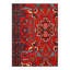 Oriental Area Rug in Red