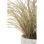 57cm Faux Reed Grass in Ceramic Pot