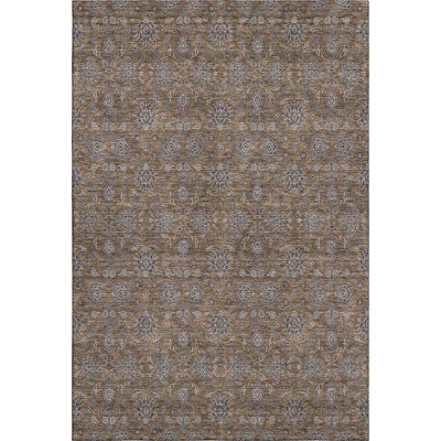 Premium Machine Washable Prisco Chocolate Rug