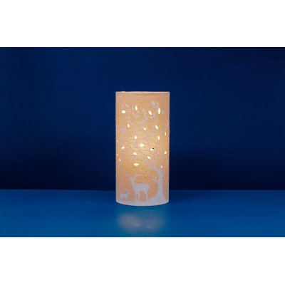 Novelty Lamp