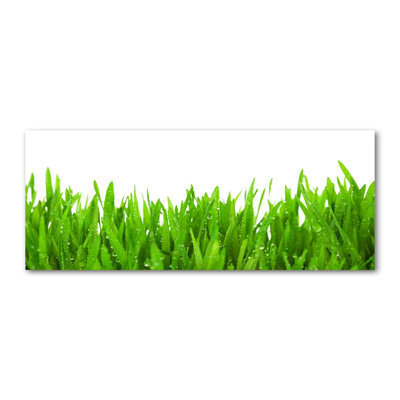 Grass - No Frame Print on Canvas