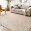 Oriental Area Rug-1816914952