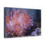 No Frame Print on Canvas-958383362