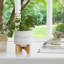 Jardinière en grès avec support en bambou Natacha-1588580077-1494475308