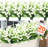 Mixed Assortment Arrangement-1616388577