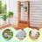 2pcs Raised Garden Bed with Trellis Wood Elevated Garden Bed with Hanging Roof  Planter Box Small