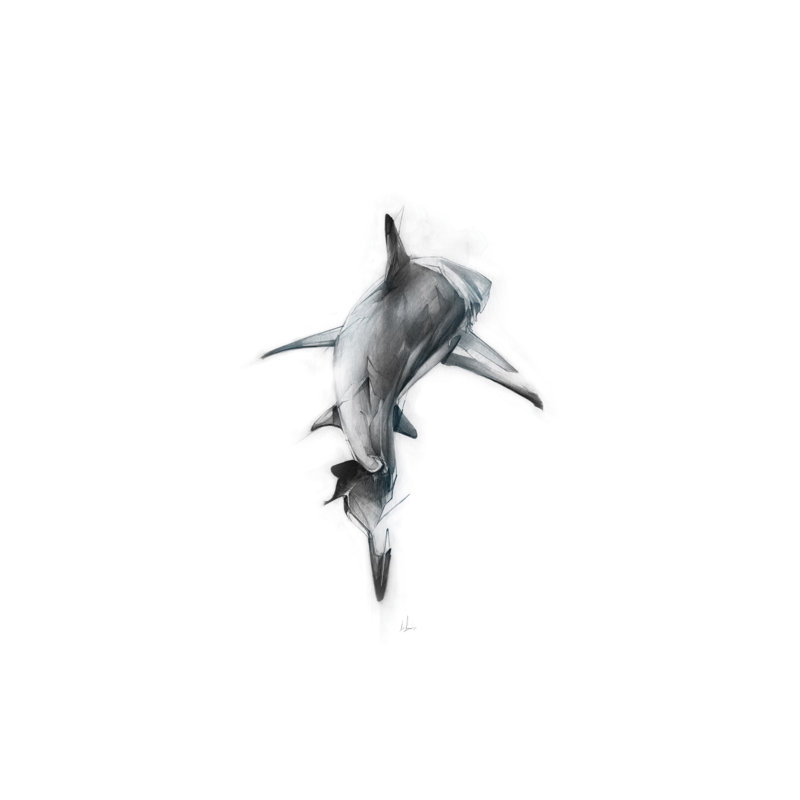 Shark III by Alexis Marcou - Print on Canvas, No Frame, 152.5 cm H x 101.5 cm W x 3.175 cm D