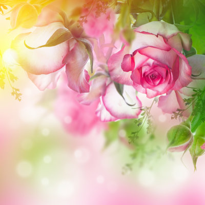 «Elset Bouquet Of Fresh Roses» par - Print