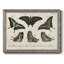 «Crackled Butterflies II», peinture sur toile encadrée-1900715892-1900715898