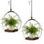Metal Wall Planter-114314220-114314218