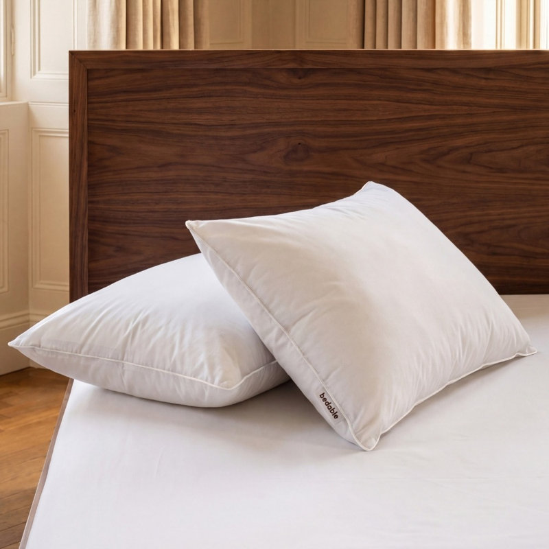 Pillow Goose Down/Feather, King Size