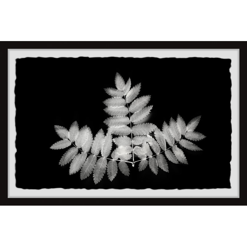 Contrasting Leaves - Single Picture Frame Painting, 41cm H x 61cm W x 3.81cm D