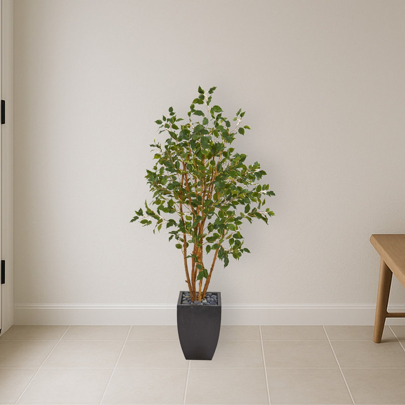 Ficus Artificial Tree in Black Planter