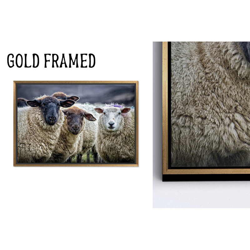 Reproduction d'art sur toile imprimée: conception rustique de moutons de ferme pour un décor de salon élégant, toiles à cadre doré 1P