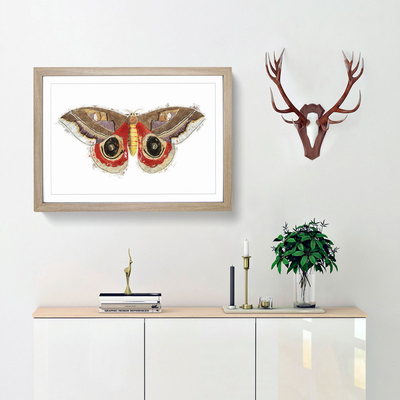 Automeris Moth by George Shaw - Framed Print, Oak Framed, 24cm H x 33cm W x 2cm D