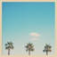 A Trio Of Palm Trees by Laura Evans-1489868015-1489868012