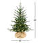 Arbre de Noël illuminé 2,2 pi