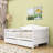 Twin Size Daybed with Storage Drawers-1196330418