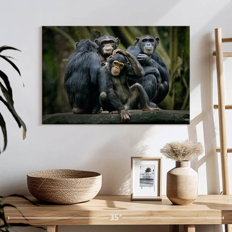 Chimps And Bonobos, 16" H x 24" W