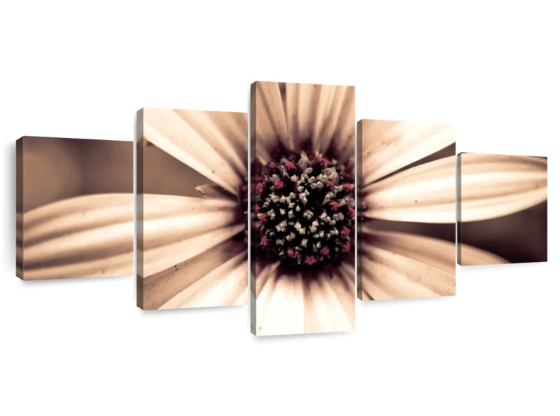 Detailed Sepia Flower