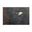 Art sur toile, Bachelor, Feng-109335554