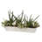 18'' Faux Succulent in Planter