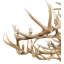 Rustic Lodge 18 - Light Chandelier