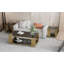 Table basse rectangulaire à 2 niveaux en verre trempé L 51 po x l 27,5 po Tonasia
