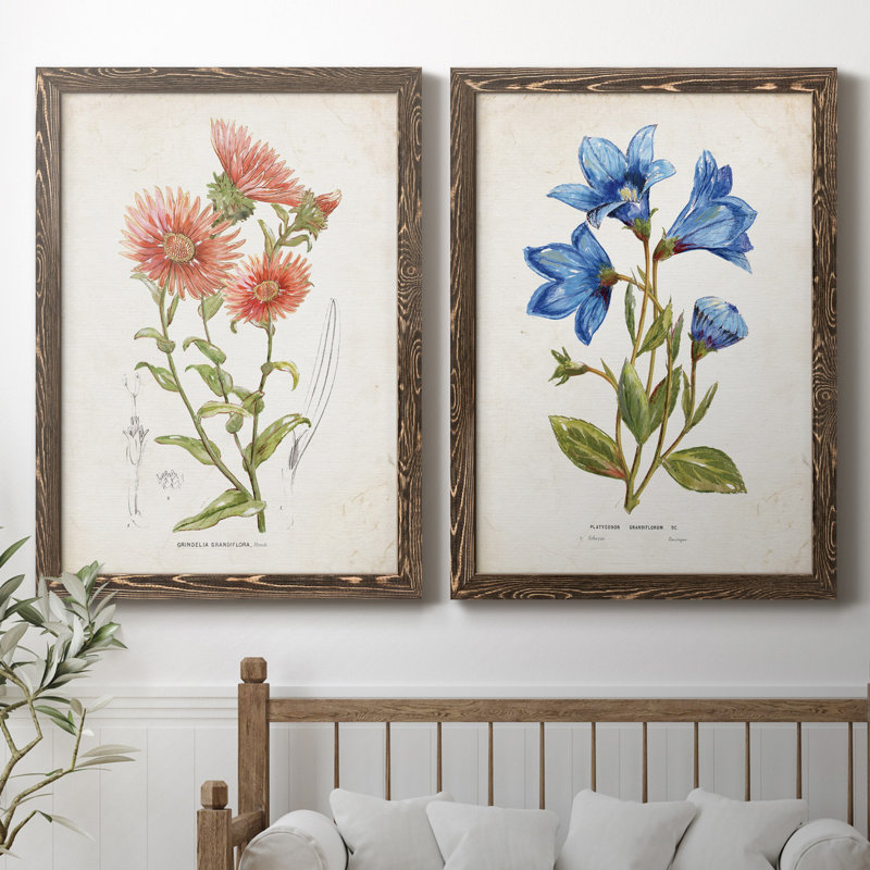 «Botanical I», ensemble de 2 reproductions d'art, Pas de tapis, Toile avec cadre en noyer, H 44 po x l 31 po x P 1 po