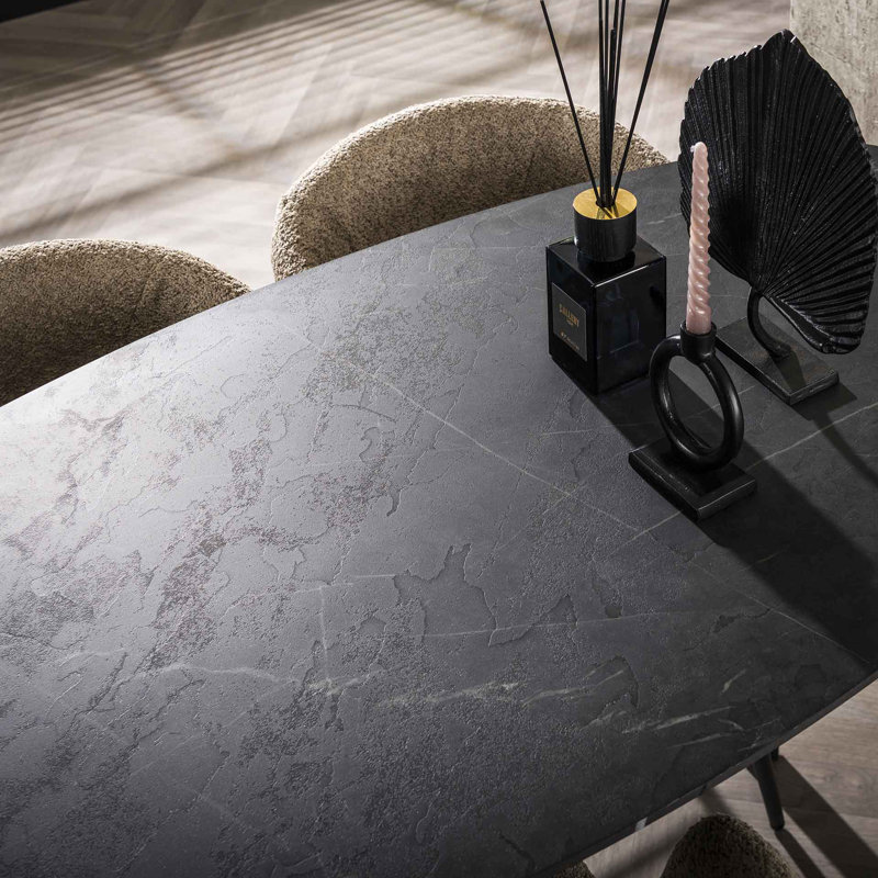 Ravinath Metal Base Dining Table