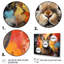 Collage Lapin Energetic Hopper II-1723375747-1723375751