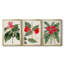 FloraOf TheTropicsI - Toile tendue avec châssis sur mesure - 3 pièces-1818618249-1818618359