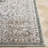 Aelyn Performance Oriental Rug-797816368