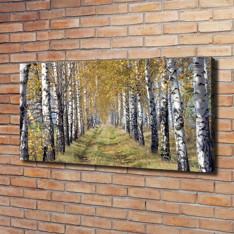 Birches In Autumn - Wrapped Canvas Print