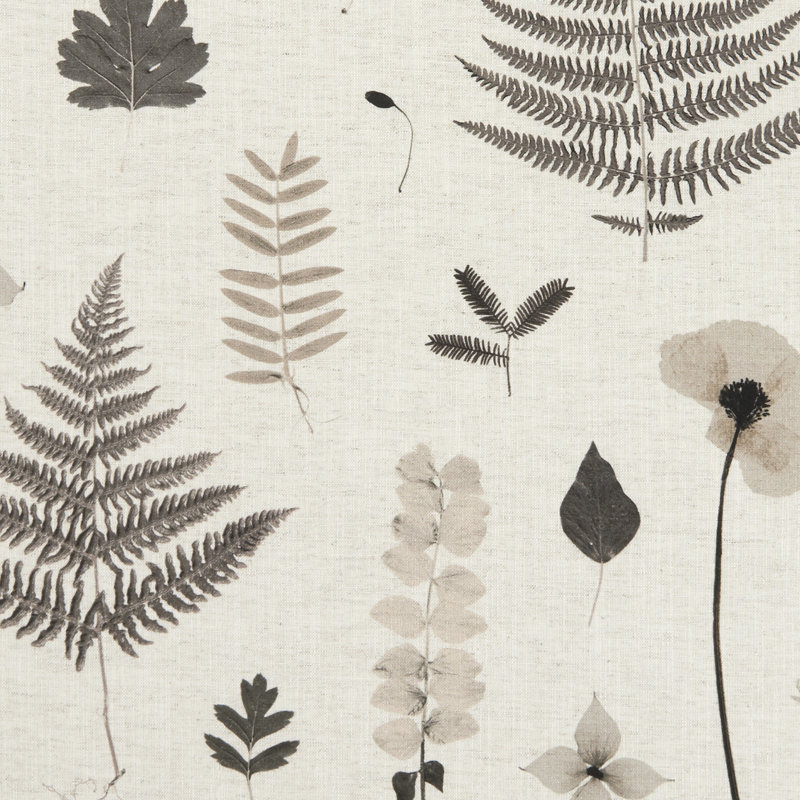 Botanica Herbarium Fabric, Charcoal/Natural