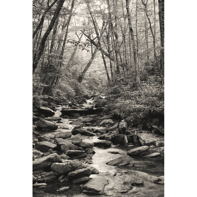 «Alum Cave Trail On Canvas» par Lori Deiter, reproduction, H 12 po x l 8 po