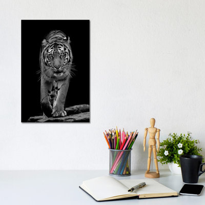 Whiskers In Black And White by David Whelan - Wrapped Canvas Gallery-Wrapped Canvas Giclée