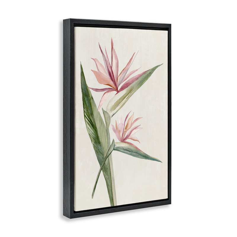 Cadre flottant Tropical Grace Birds of Paradise, design par Hannah Dawson, H 25 po x l 17 po, Noir