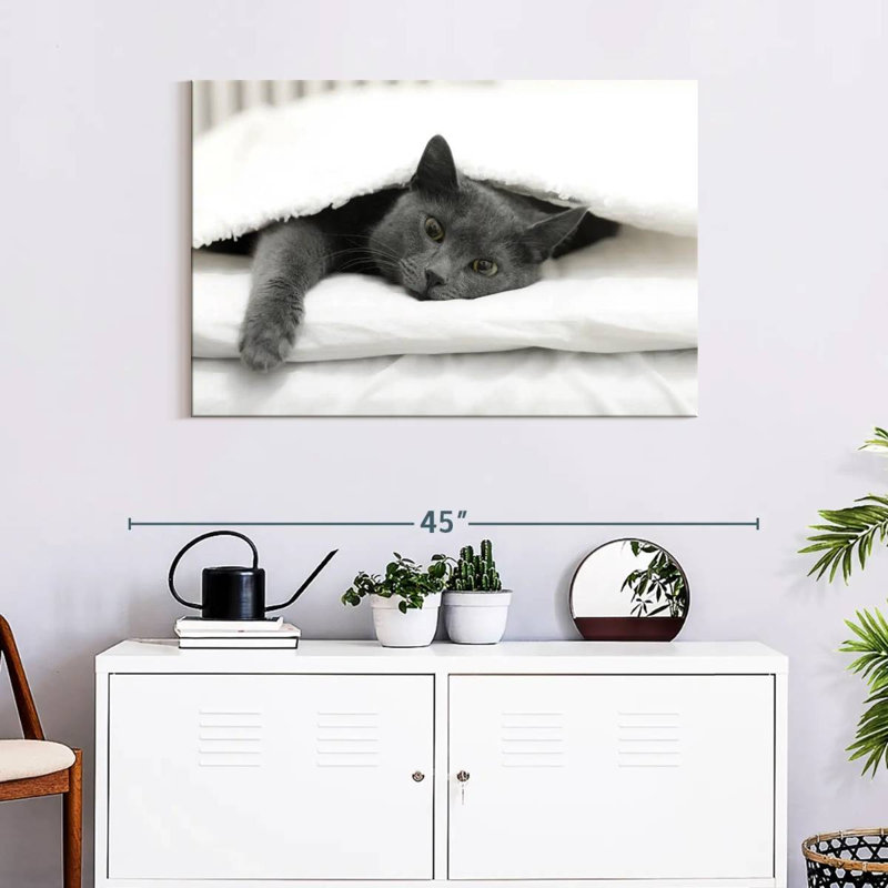 Brampt Lazy Cat, 24" H x 36" W