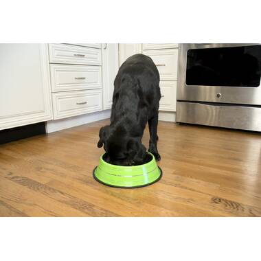 Non-Tip Anti-Skid Stainless Steel Feeding Bowls — Happy Hound