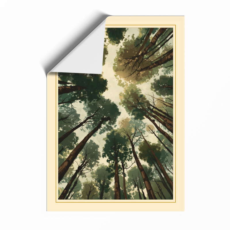 Skyward Through Evergreens Scandinavian - Framed Print, Unframed, A1 - 84.1 x 59.4 cm