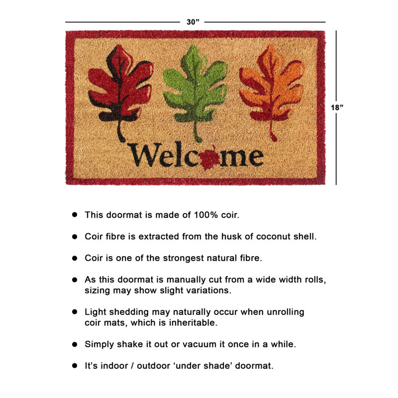 Tapis d'extérieur antidérapant Voltaire Welcome