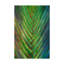 « tropical crop i », reproduction sur toile tendue-491836097