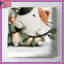 Joli dessin de chats, literie, chats, couvre-lit, animaux-125272929