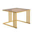 Adamarys Coffee Table with Storage