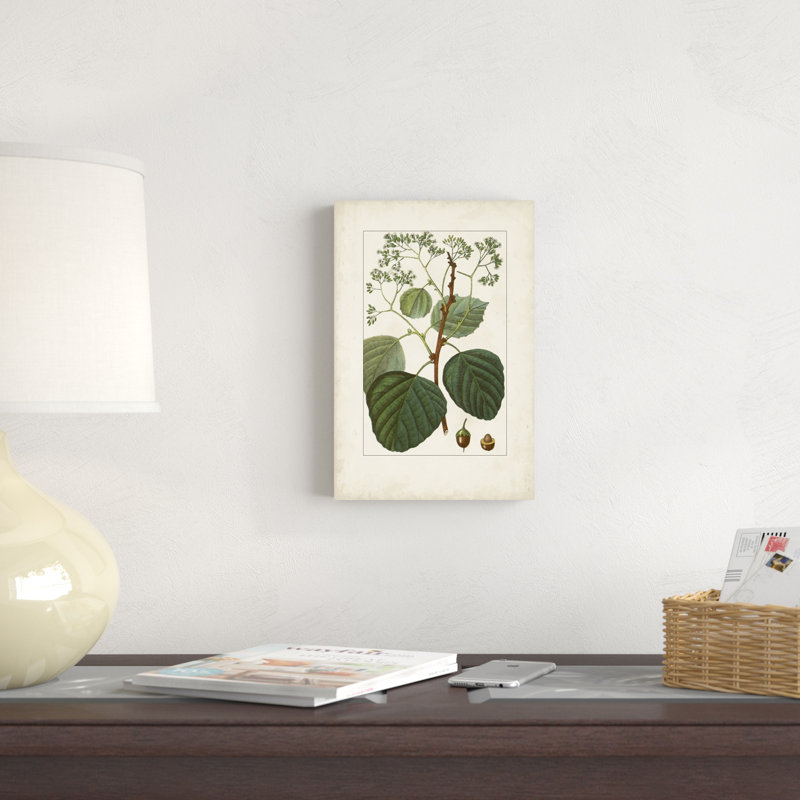 Antique Turpin Botanical IV, H 12 po x l 8 po